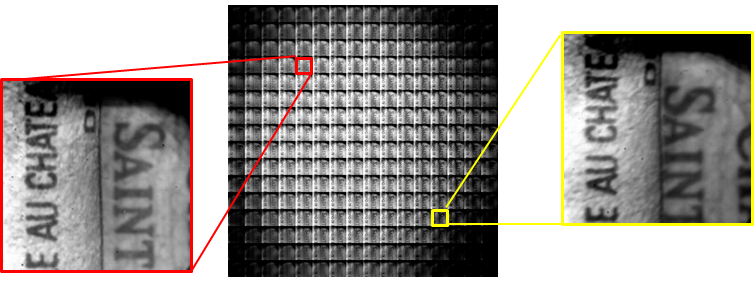 raw plenoptic image